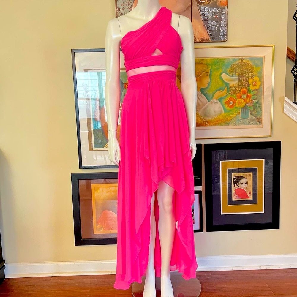 Pink Gown